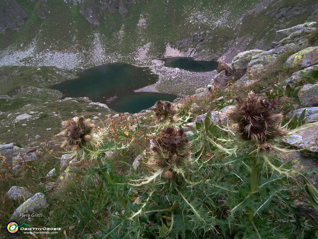 65 cardi con vista su due 'perle orobiche'....JPG